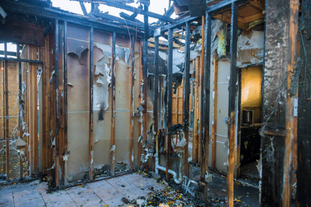Professional Fire Damage Removal technician working in Hot Springs Village, AR